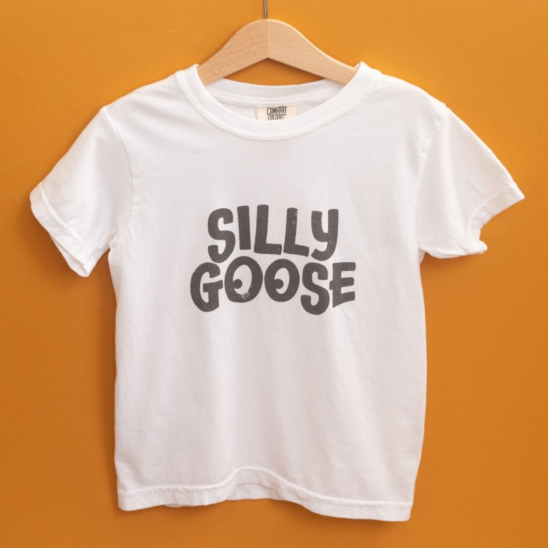 Purchases NWT 5/6T Silly Goose Rags Tee